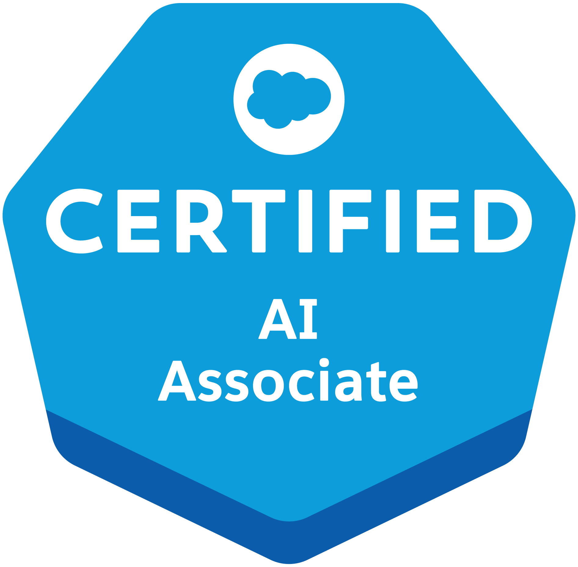 Salesforce Platform Foundations